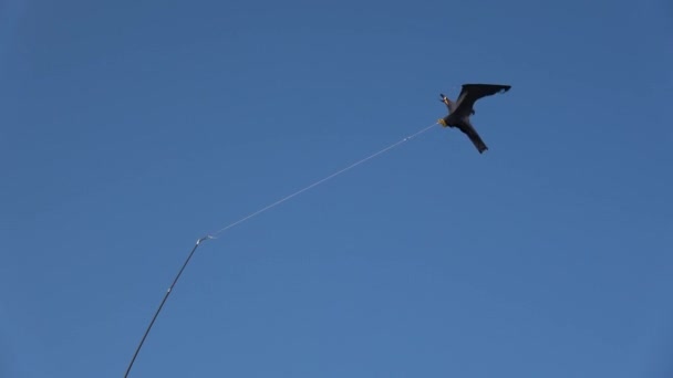 Decoratieve Doek Vogel Lucht Blauwe Achtergrond Zee Wind Speelgoed Vogel — Stockvideo