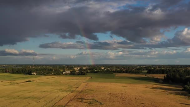 熟した作物畑の上の夏の終わりの虹 空中ビュー — ストック動画