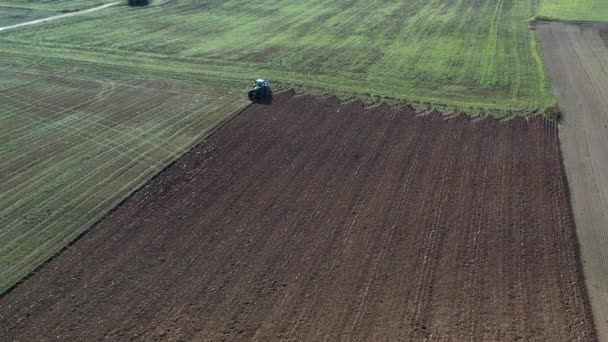 Trattore Agricoltura Campi Arati Gregge Uccelli Vista Aerea — Video Stock