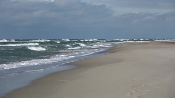 空のバルト海のビーチと波 リトアニア — ストック動画