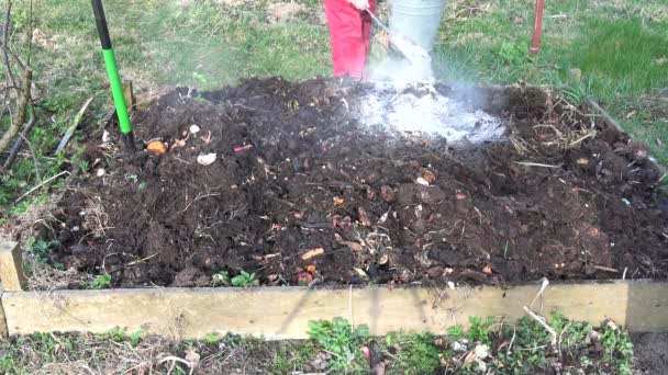 Jardinier Printemps Insérer Engrais Frêne Bois Dans Sol Tas Compost — Video