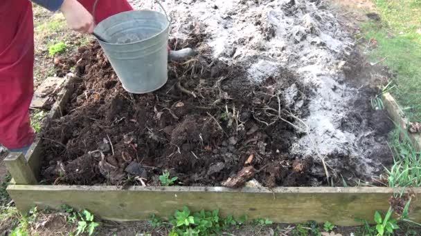 Jardinero Inserte Fertilizante Ceniza Madera Natural Tierra Compost Montón — Vídeo de stock