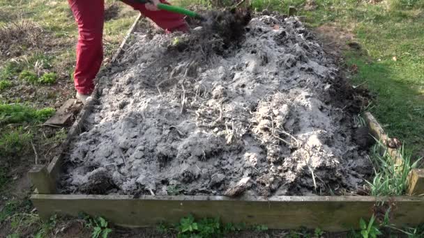 フォークツールで堆肥ヒープ土壌に木材灰を掘ると挿入する早春の庭師 — ストック動画