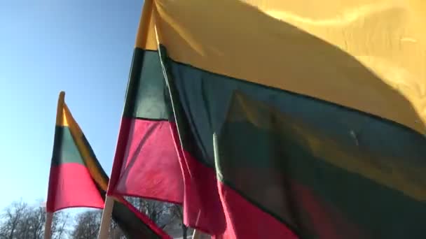 Litauiska Nationella Flaggor Vinden Himlen Bakgrund — Stockvideo