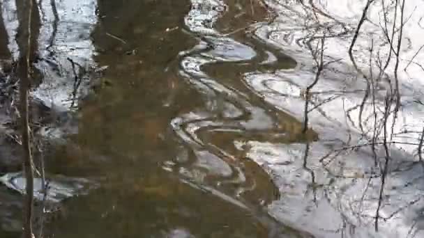 Wiosna Woda Powodzie Drzewa Refleksje Abstrakcyjne Natura Wideo Tło — Wideo stockowe