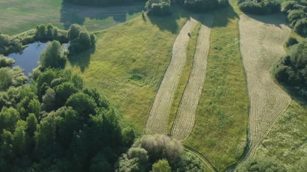 Traktor Szénakészítés Vágott Széna Gyönyörű Nyári Este Légi Kilátás — Stock videók