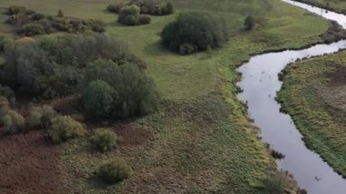 Sonbahar zamanı nehir kıvrılır ve ağaçlar, hava manzarası