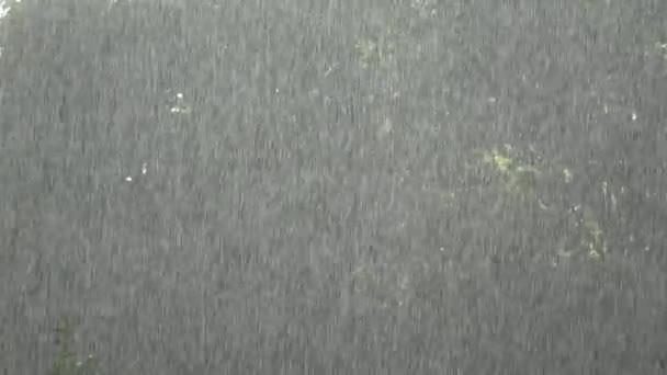 Abstract Zomer Tijd Regen Druppels Achtergrond — Stockvideo