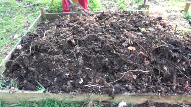 Ogrodnik Wiosną Kopać Kompost Hałdy Gleby Narzędzia Widelec — Wideo stockowe