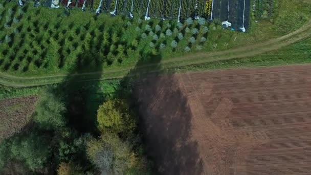 Drohne Fliegt Über Blumen Und Pflanzen Baumschule Blumenbeete Und Gewächshaus — Stockvideo