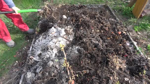 Gärtner Graben Und Legen Holzasche Mit Gabelwerkzeug Komposthaufen — Stockvideo