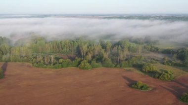 Güneşin doğuşundan sonra bahçeleri ve tarlaları olan sisli bir sabah manzarası.