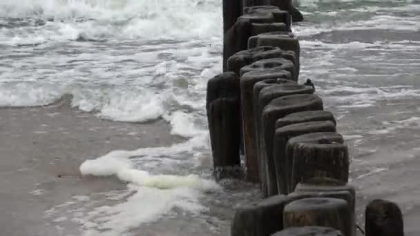 Oude Geruïneerde Houten Palen Steiger Palen Zee Strand Golven Uitzoomen — Stockvideo