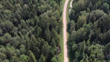 Yaz zamanı ormanı ve çakıl yolu, hava manzarası