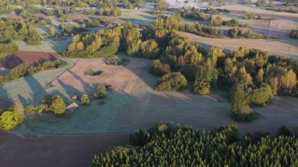 Misty Morning Landscape Groves Fields Sunrise Aerial View — Stock Video