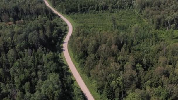 Verano Bosque Grava Carretera Curvas Vista Aérea — Vídeos de Stock