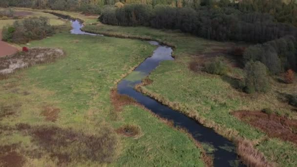 Drohnen Fliegen Über Herbstlichen Flussbiegungen Und Hainen Aus Der Luft — Stockvideo