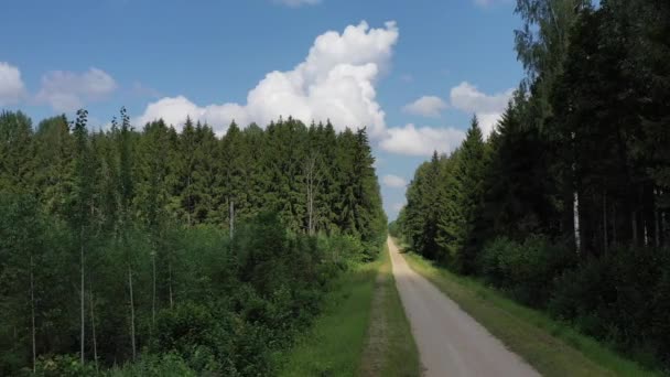 Estrada Cascalho Verão Floresta Vista Aérea — Vídeo de Stock