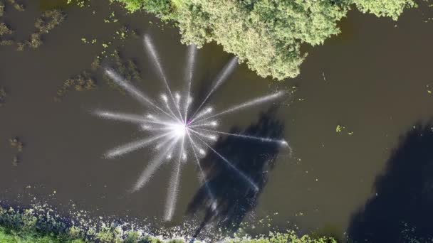 Fontein Aan Zomer Rivierwater Het Park Uitzicht Lucht — Stockvideo