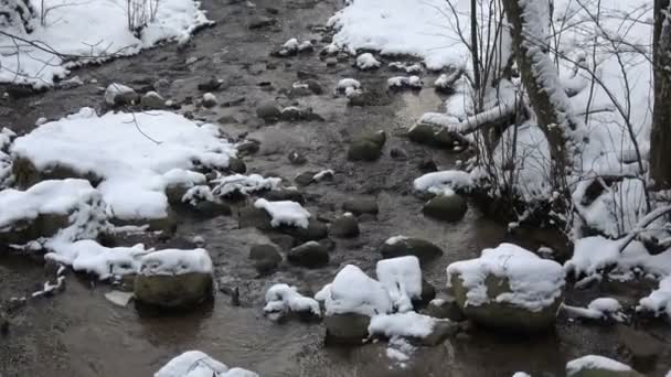 Clear Winter Time River Stream — Stock Video
