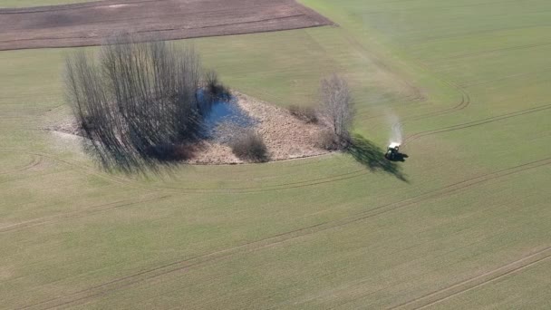 Сільськогосподарський Трактор Розкидає Добрива Весняному Пшеничному Полі Вид Повітря — стокове відео