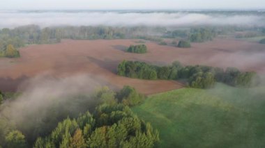 Sis, bahar sabahı manzarası, hava manzarası