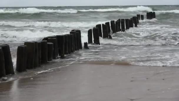 Old Reruntuhan Kayu Tiang Dermaga Tumpukan Pantai Laut — Stok Video