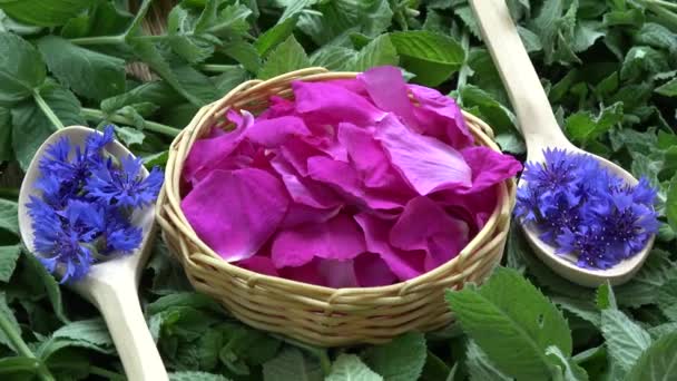 Rotating Medical Tea Herbs Cornflowers Wooden Spoons Rose Petals Basket — Stock Video