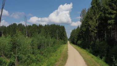 İnsansız hava aracından ormana giden yaz çakıl yolu, hava manzarası.