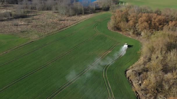 Сільськогосподарський Трактор Розкидає Мінеральні Добрива Весняному Пшеничному Полі Літак — стокове відео