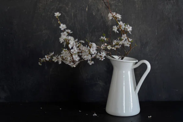 Spring Flowering Plum Tree Branch Jug Black Wooden Background — Stock Photo, Image