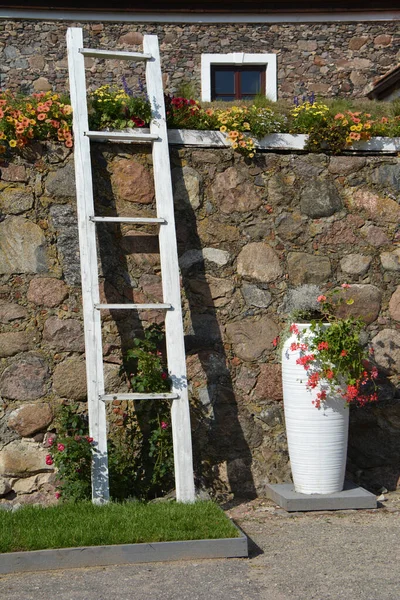 Buitenkant Van Oude Landhuis Decoratieve Muur Met Ladder Vaas — Stockfoto