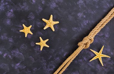 İp ve denizyıldızı koyu arka plan üzerinde. Üstten Görünüm