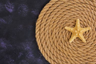 İp ve denizyıldızı koyu arka plan üzerinde. Üstten Görünüm