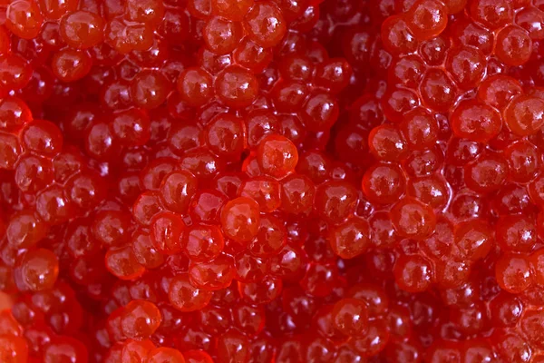 Röd kaviar närbild bakgrund. Bakgrund av röd kaviar — Stockfoto
