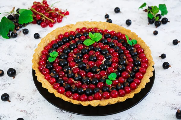 Tart delicios cu cremă și coacăze pe fundal alb — Fotografie, imagine de stoc