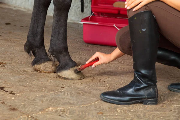 Atlı genç bir kadın.