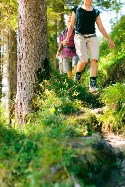 Caminhadas Idosos na Floresta — Fotografia de Stock