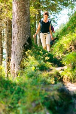 Ormanda yürüyüş yaşlılar