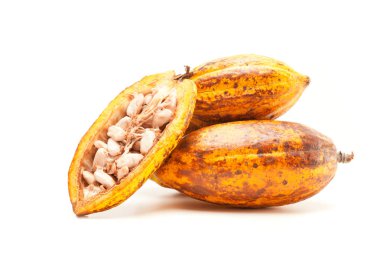 Beyaz üzerine kakao bakla