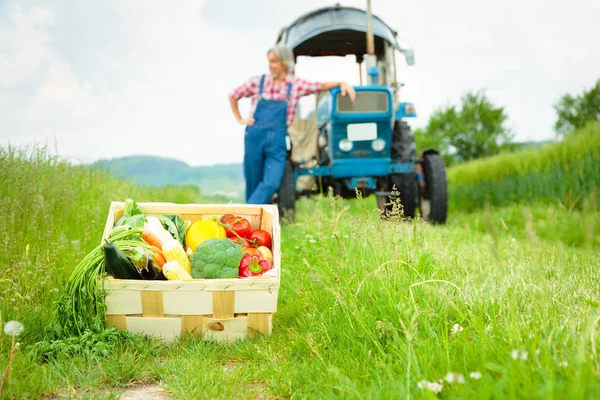 Stock image Farmer Standing In A Field