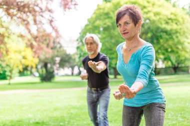 Üst düzey çift yaptığını Tai Chi Park, Tuebingen, Almanya