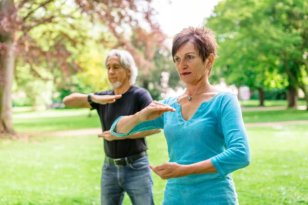 Casal Sênior Fazendo Tai Chi No Parque, Tuebingen, Alemanha — Fotografia de Stock