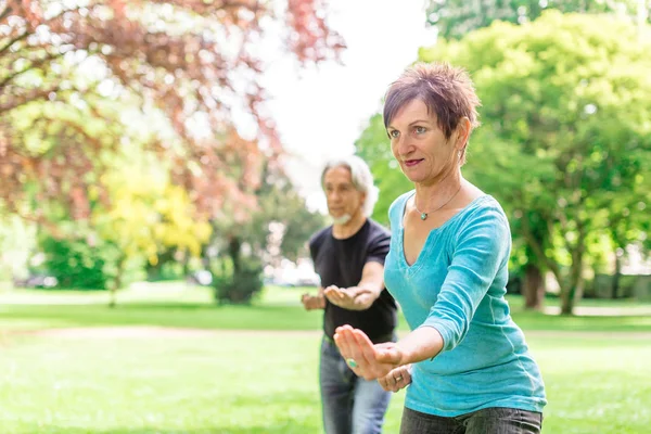 Casal Sênior Fazendo Tai Chi No Parque, Tuebingen, Alemanha — Fotografia de Stock