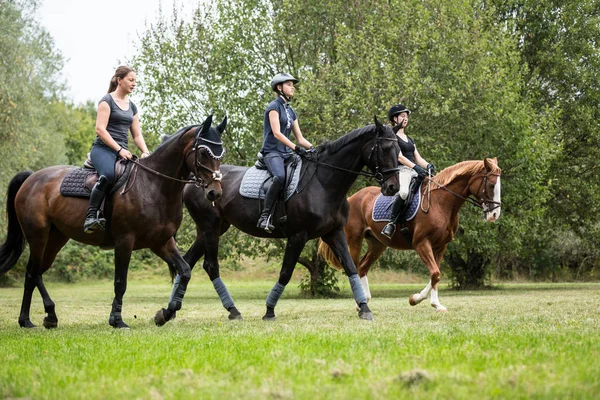 Friends Going for a Ride — стоковое фото