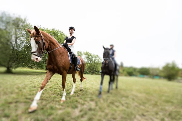 Friends Going for a Ride — стоковое фото