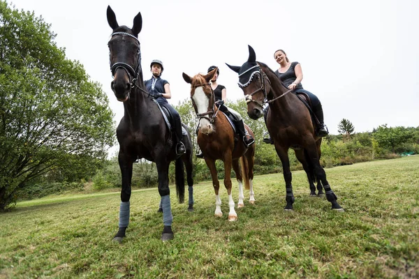 Friends Going For A Ride — Stock Photo, Image