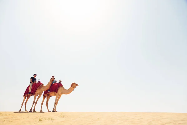 Turistas cavalgando pelo deserto — Fotografia de Stock