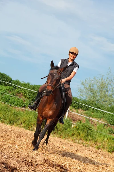 Mulher com seu cavalo — Fotografia de Stock