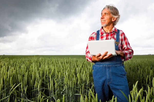Rolnik, sprzedaży przez Internet, jego uprawy — Zdjęcie stockowe